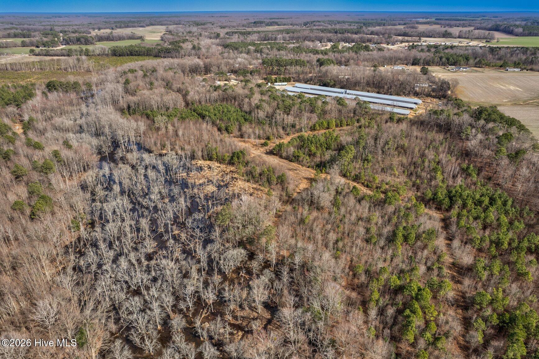 0 Ethridge Road Whitakers, NC 27891 - Photo 7 of 7 066-13064EthridgeRoad-Whitakers-NC-27891