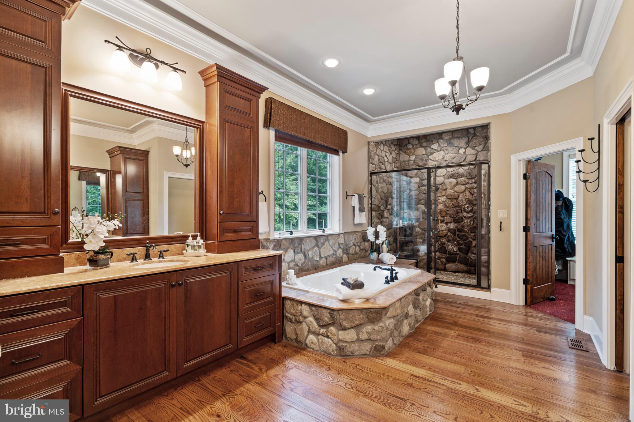 584 Corinne Road West Chester, PA 19382 - Photo 46 of 96 Master's Bathroom