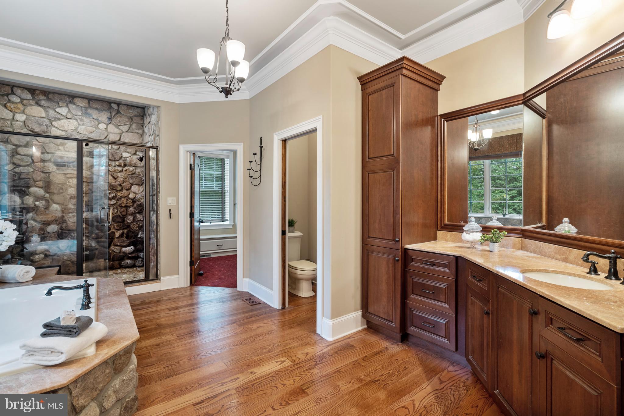584 Corinne Road West Chester, PA 19382 - Photo 47 of 96 Master's Bathroom