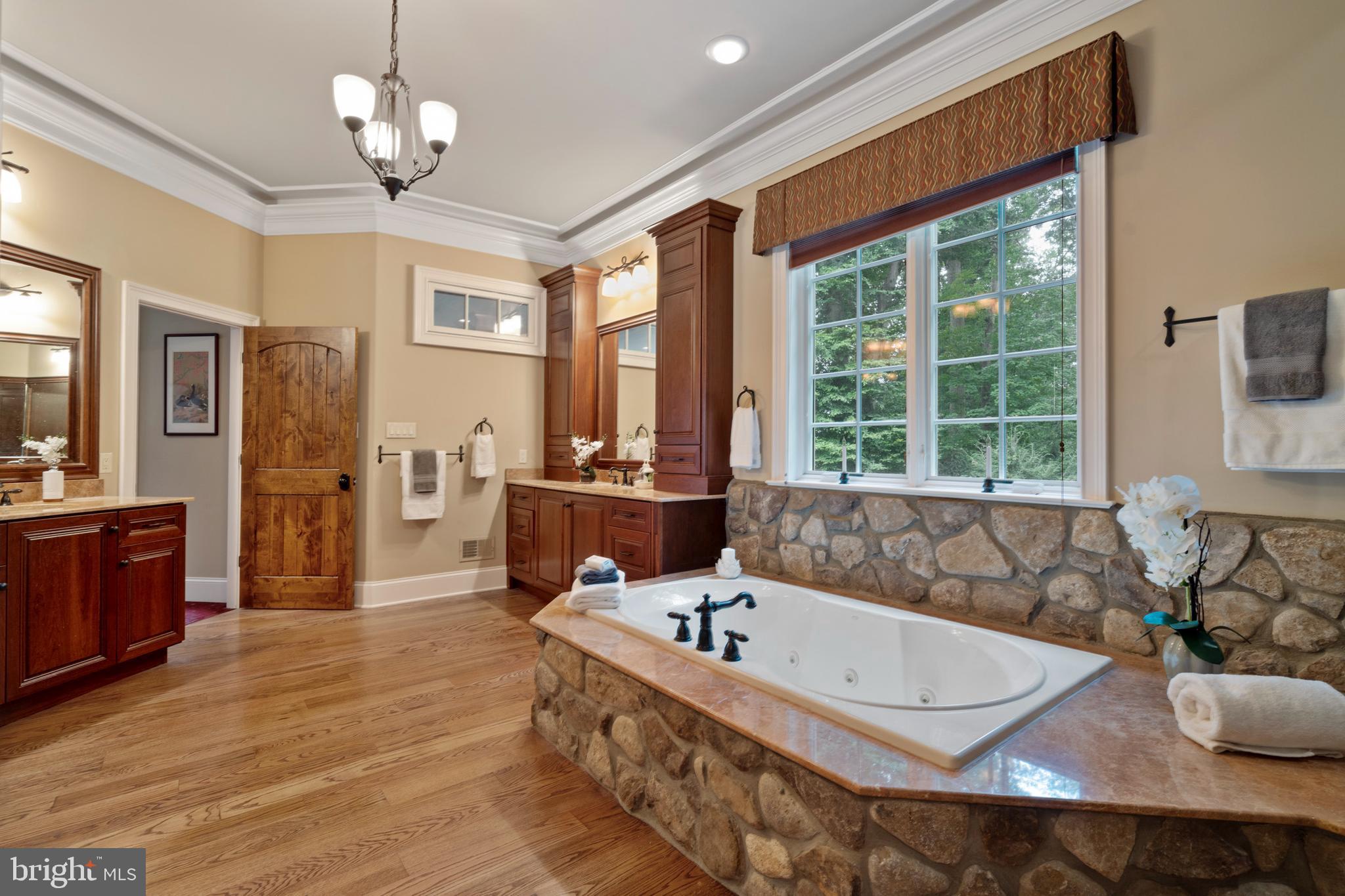 584 Corinne Road West Chester, PA 19382 - Photo 48 of 96 Master's Bathroom