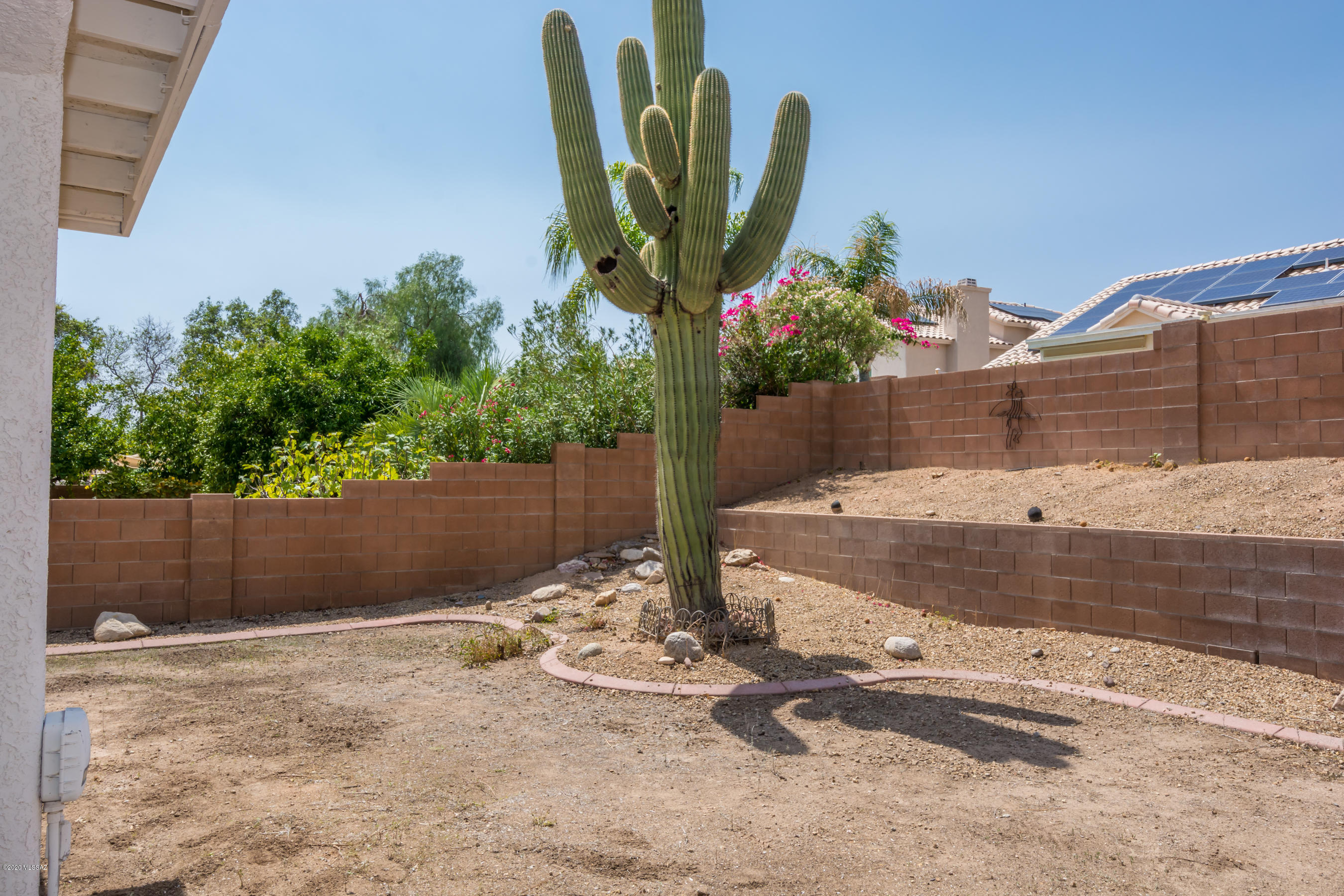 11341 Silver Pheasant Loop Oro Valley, AZ 85737 - Photo 25 of 41 a view of a backyard