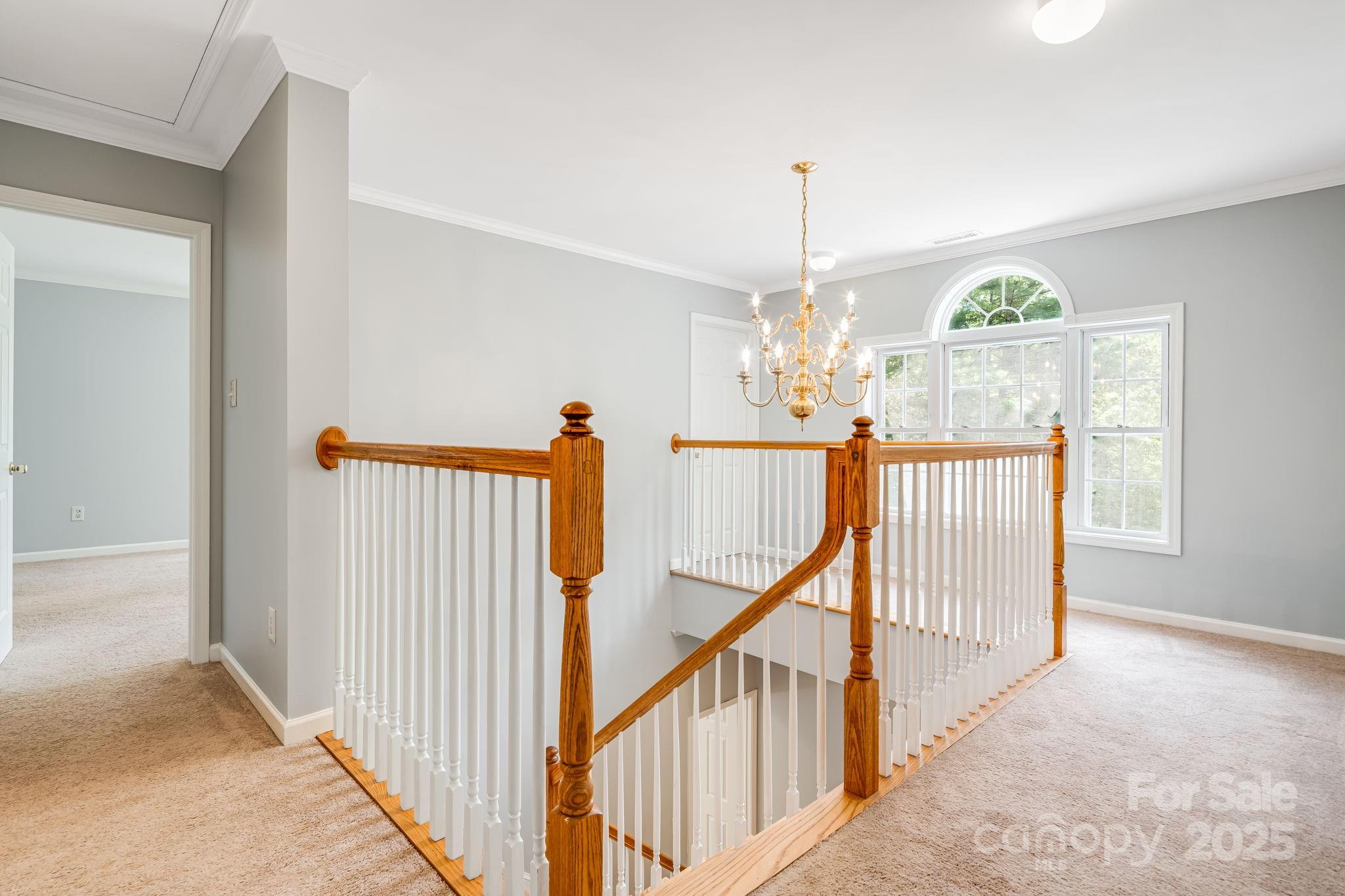 135 Whitaker Road Fairview, NC 28730 - Photo 13 of 22 Gallery Image 13