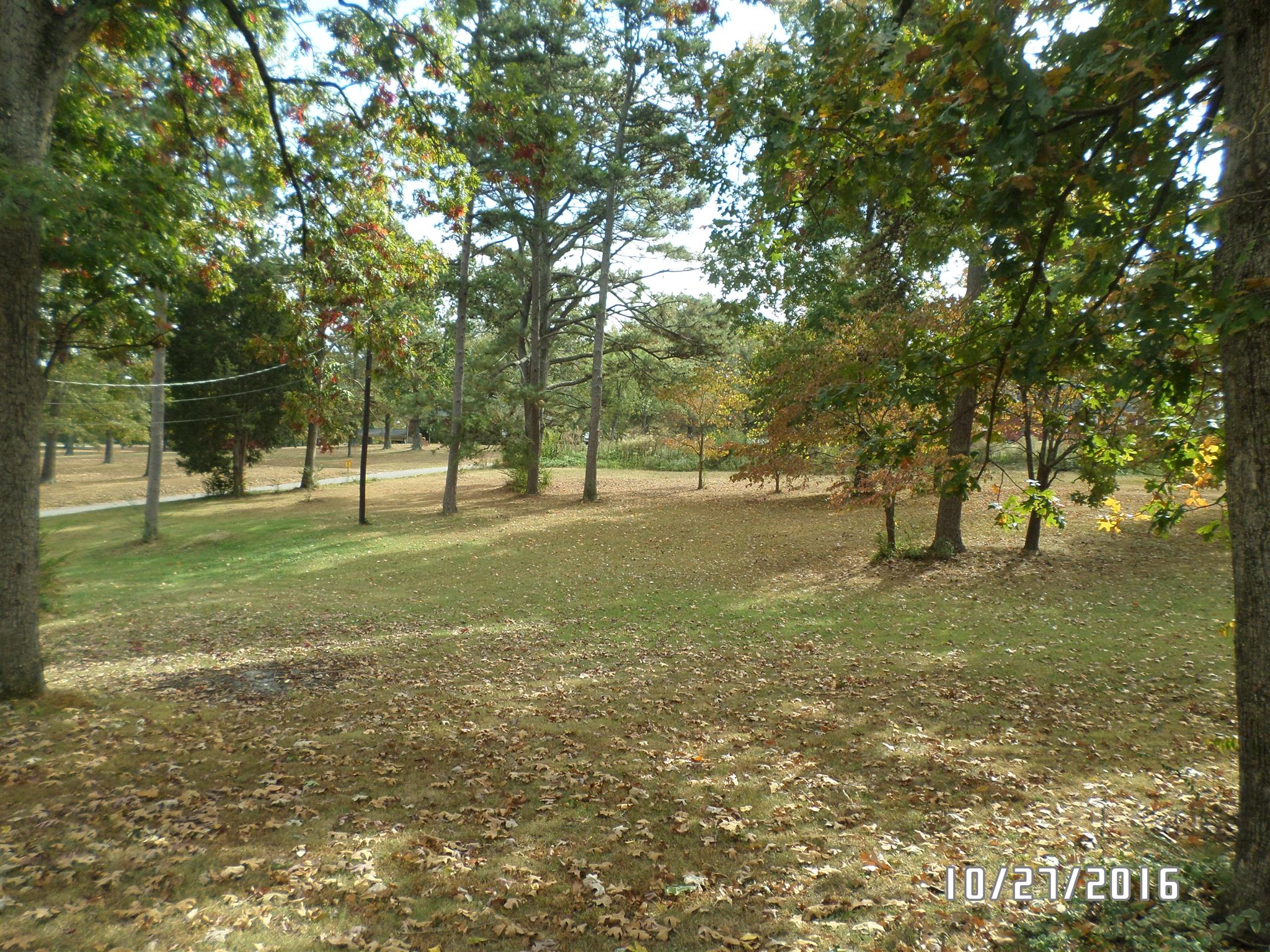 41 Horseshoe Bend Road Leoma, TN 38468 - Photo 2 of 16 Gallery Image 2