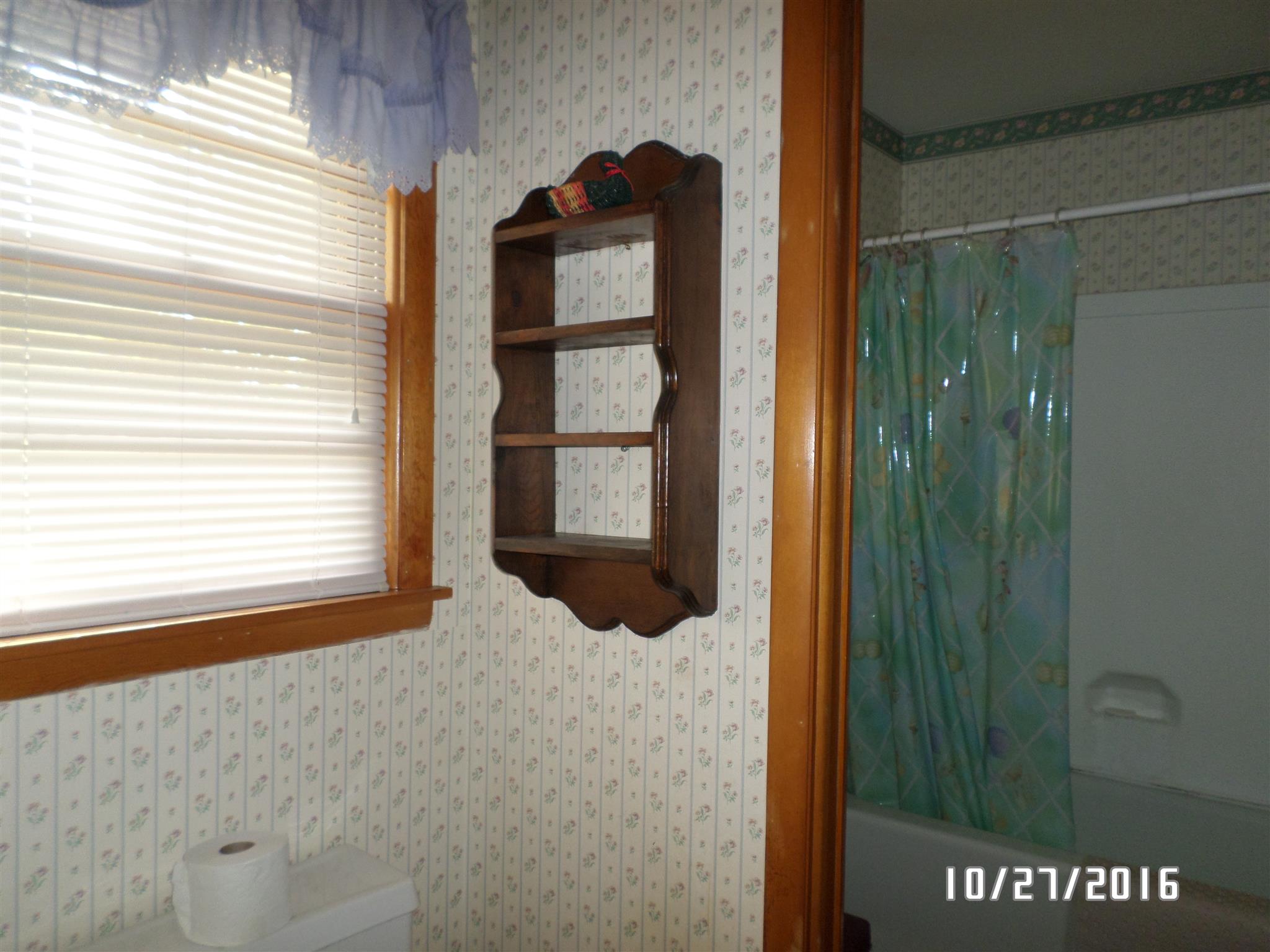 41 Horseshoe Bend Road Leoma, TN 38468 - Photo 10 of 16 Gallery Image 10