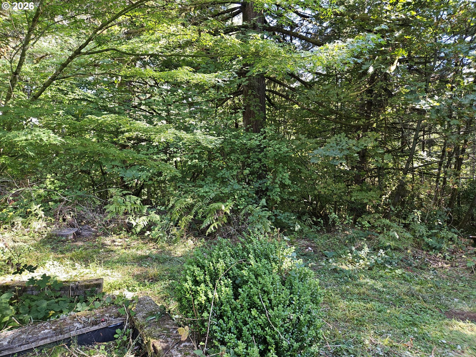 27311 Smithville Road Sheridan, OR 97378 - Photo 25 of 48 Gallery Image 25