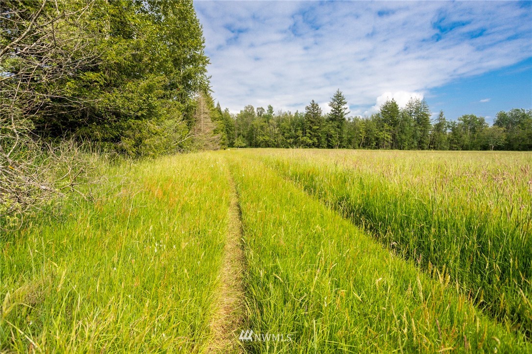 0 Loomis Trail Road Blaine, WA 98230 - Photo 11 of 14
