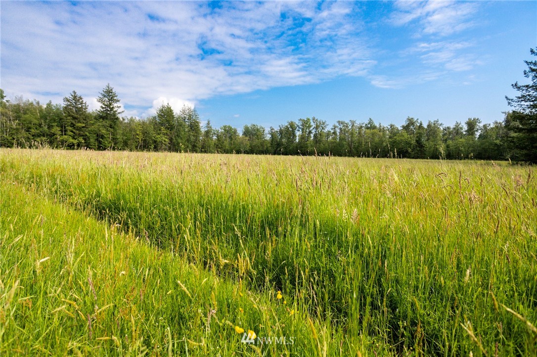 0 Loomis Trail Road Blaine, WA 98230 - Photo 12 of 14