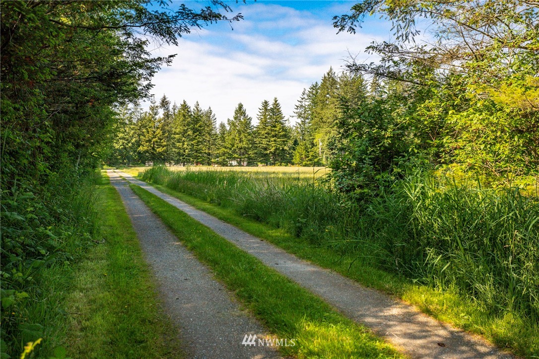 0 Loomis Trail Road Blaine, WA 98230 - Photo 13 of 14
