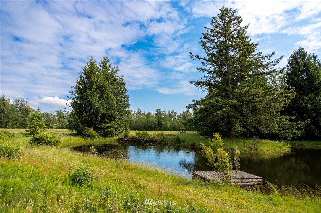 0 Loomis Trail Road Blaine, WA 98230 - Photo 4 of 14
