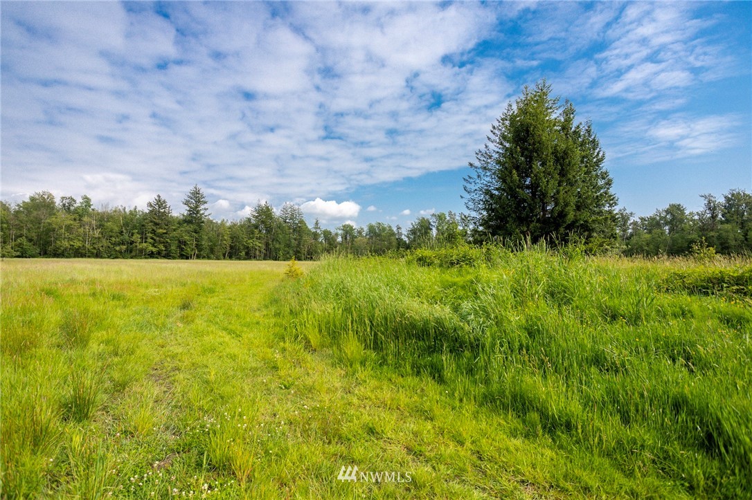 0 Loomis Trail Road Blaine, WA 98230 - Photo 5 of 14