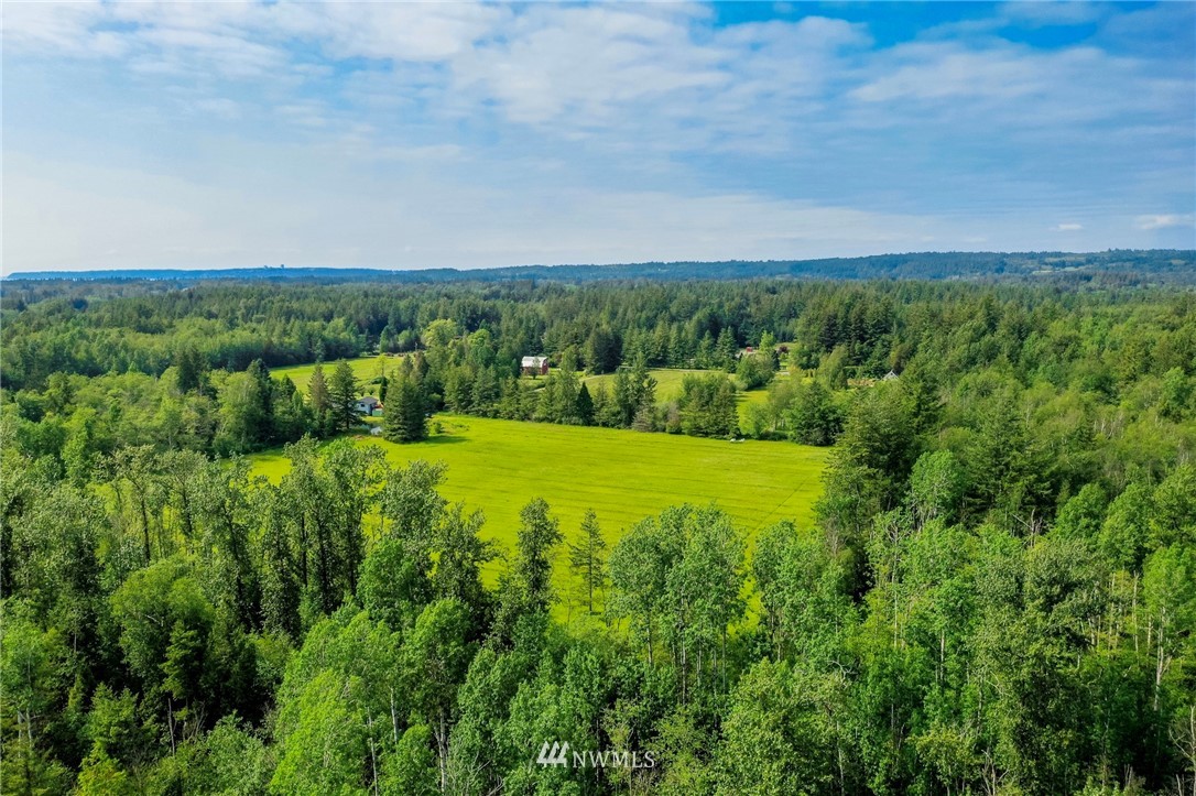 0 Loomis Trail Road Blaine, WA 98230 - Photo 7 of 14