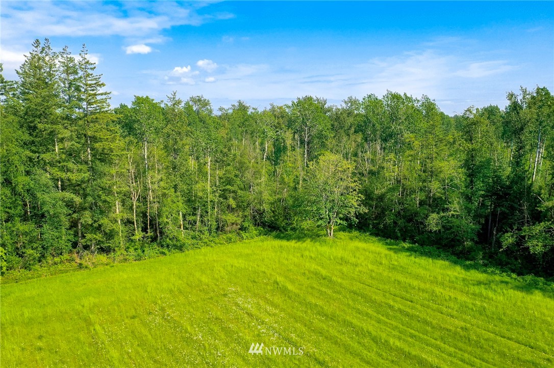 0 Loomis Trail Road Blaine, WA 98230 - Photo 10 of 14
