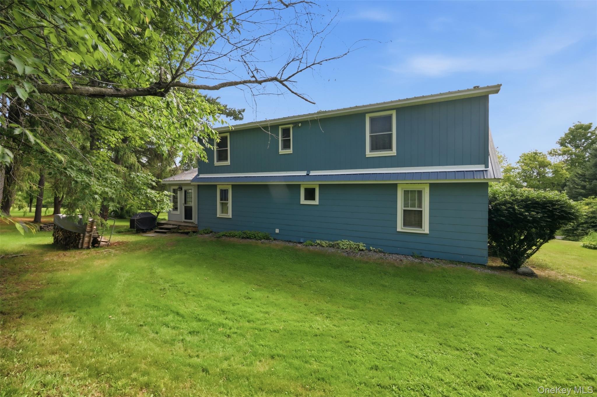 115 Cold Spring Road Liberty, NY 12754 - Photo 19 of 35 Grassy backyard
