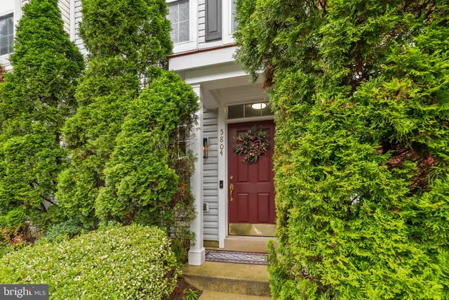 front view of a house with a tree