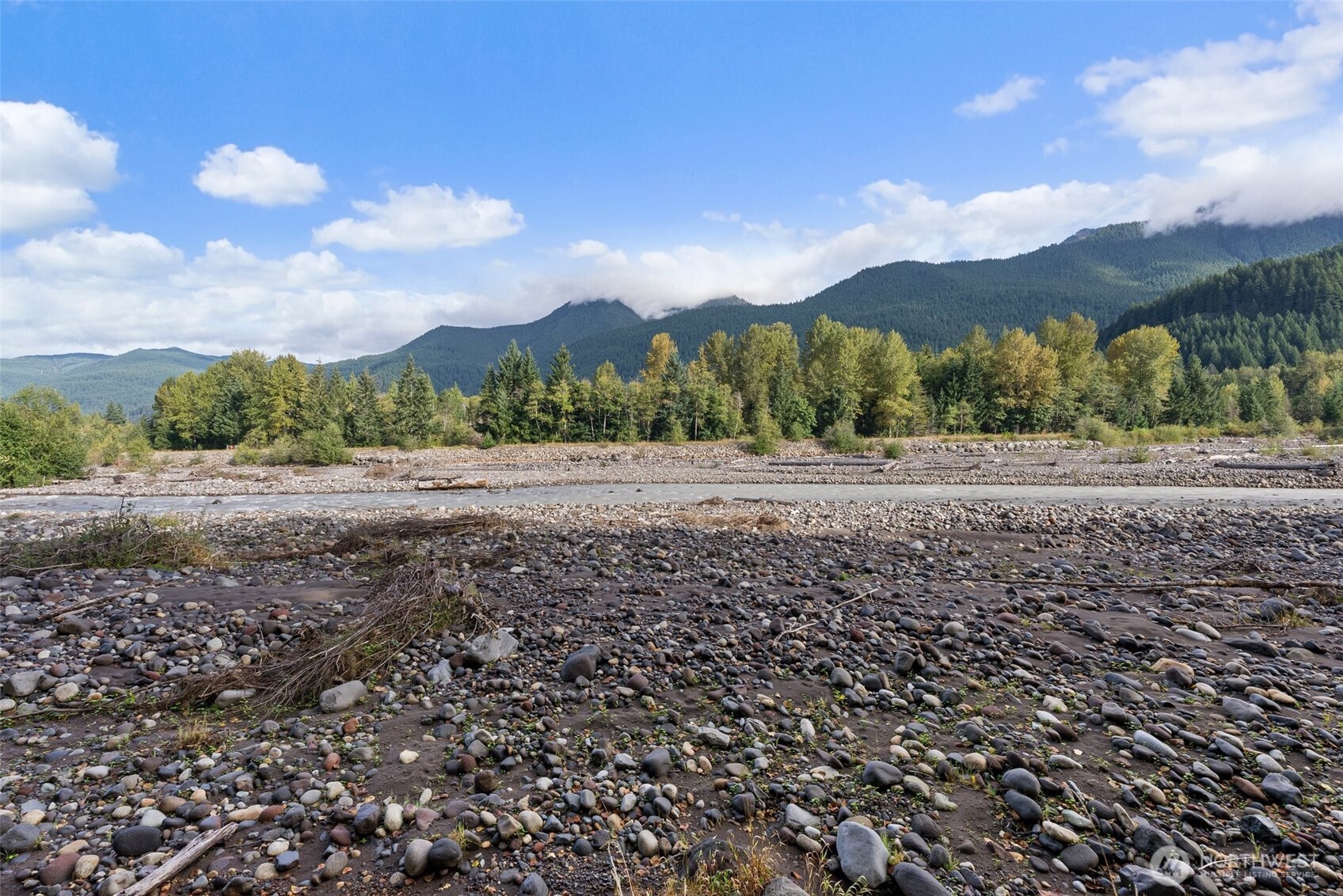 1 Skate Creek Road North Ashford, WA 98304 - Photo 11 of 36 a view of dirt yard with mountain view