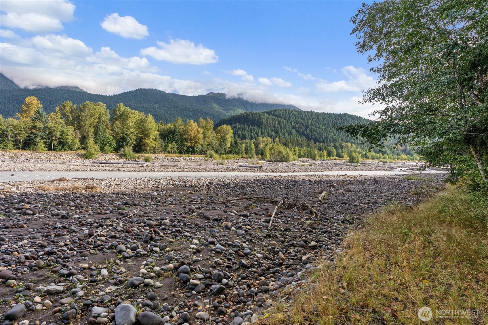 1 Skate Creek Road North Ashford, WA 98304 - Photo 12 of 36 a view of dirt yard with mountain view
