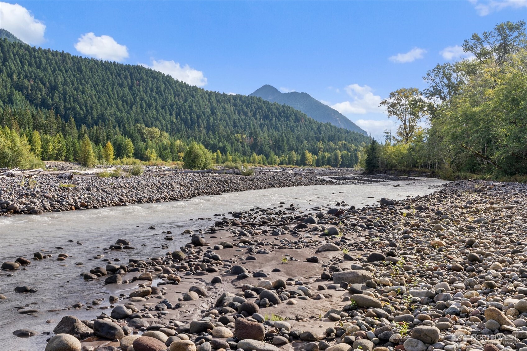 1 Skate Creek Road North Ashford, WA 98304 - Photo 14 of 36 a view of a road with a yard
