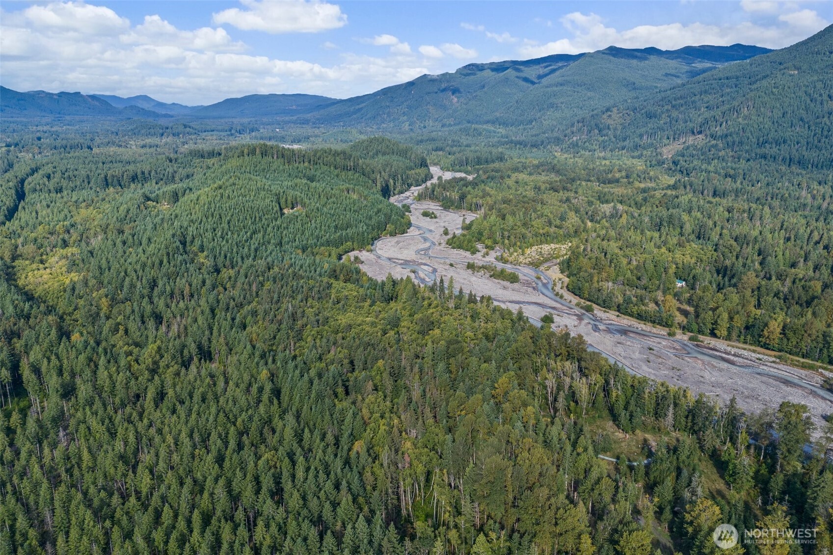 1 Skate Creek Road North Ashford, WA 98304 - Photo 18 of 36 a view of a lush green hillside and a mountain