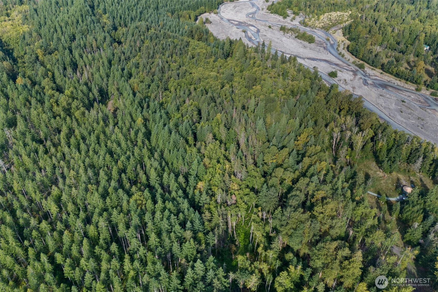 1 Skate Creek Road North Ashford, WA 98304 - Photo 19 of 36 a view of a lush green forest with a park