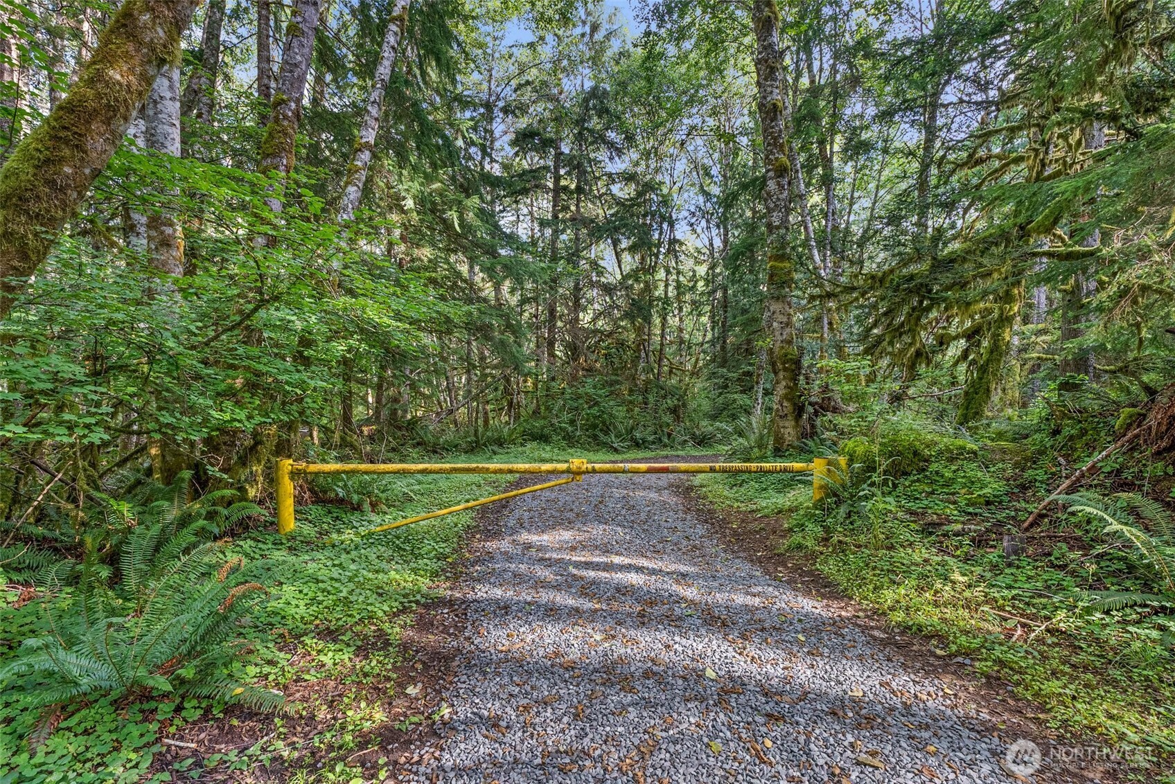 1 Skate Creek Road North Ashford, WA 98304 - Photo 20 of 36 a view of a park with large trees