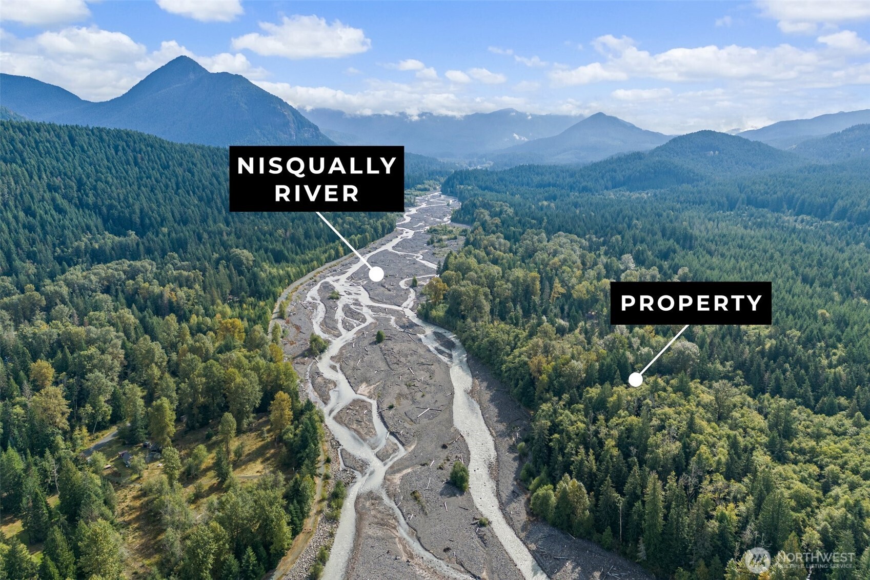 1 Skate Creek Road North Ashford, WA 98304 - Photo 2 of 36 a view of a sign in a yard