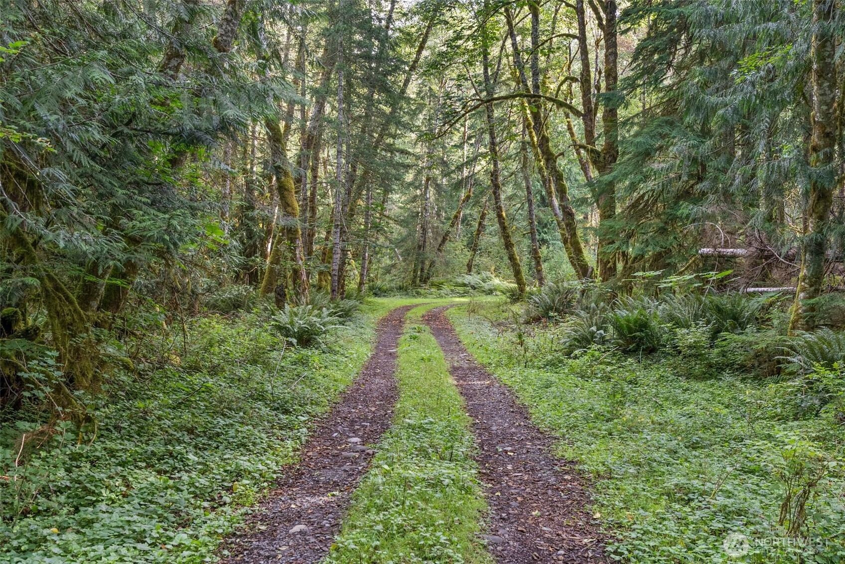 1 Skate Creek Road North Ashford, WA 98304 - Photo 24 of 36 a view of a back yard
