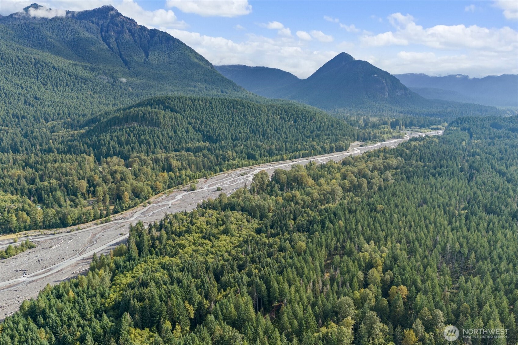 1 Skate Creek Road North Ashford, WA 98304 - Photo 32 of 36 a view of a lush green hillside and a mountain view