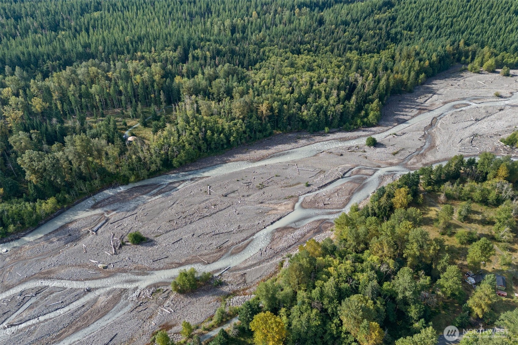 1 Skate Creek Road North Ashford, WA 98304 - Photo 33 of 36 a view of a garden with a pathway