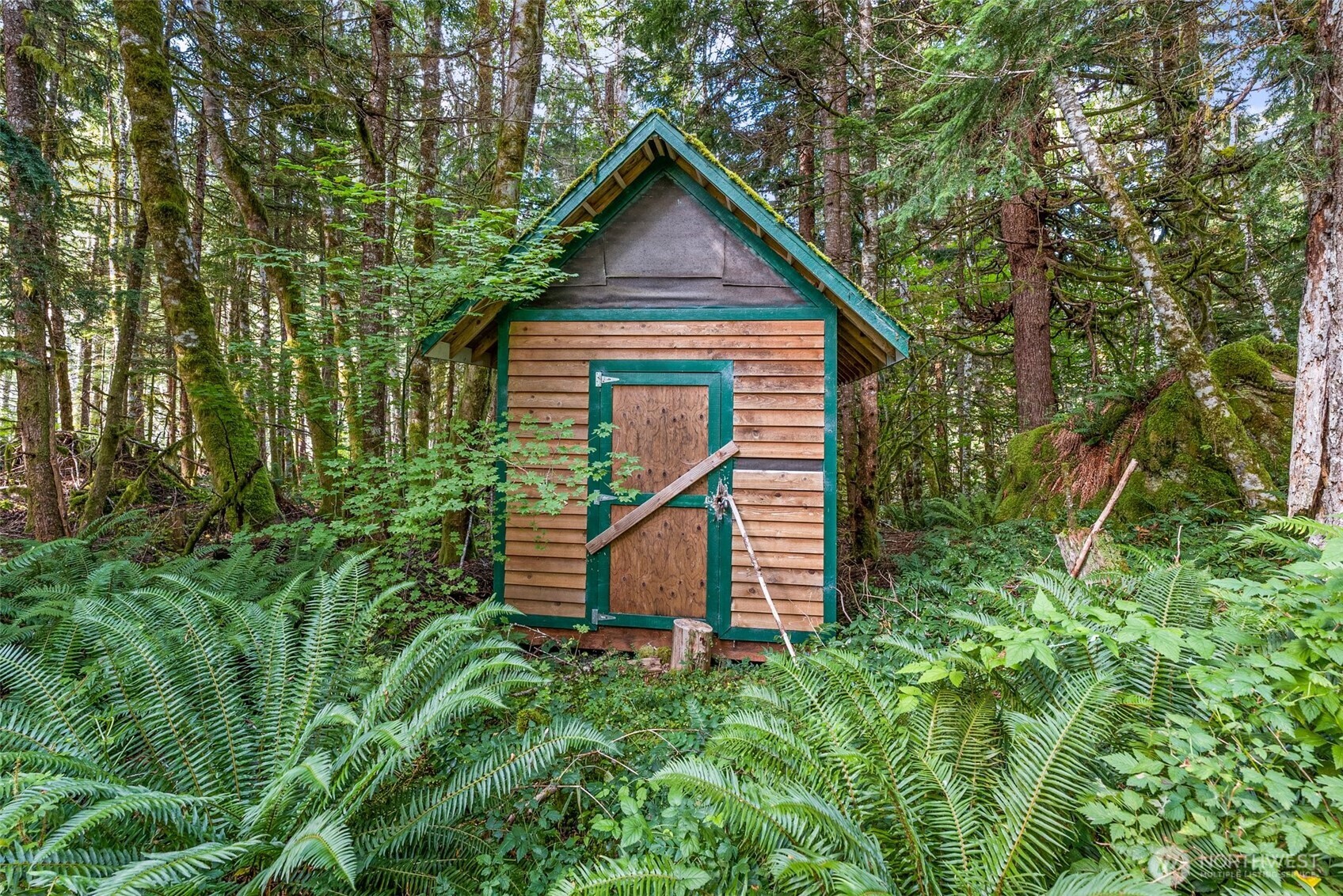 1 Skate Creek Road North Ashford, WA 98304 - Photo 35 of 36 a view of a backyard of the house