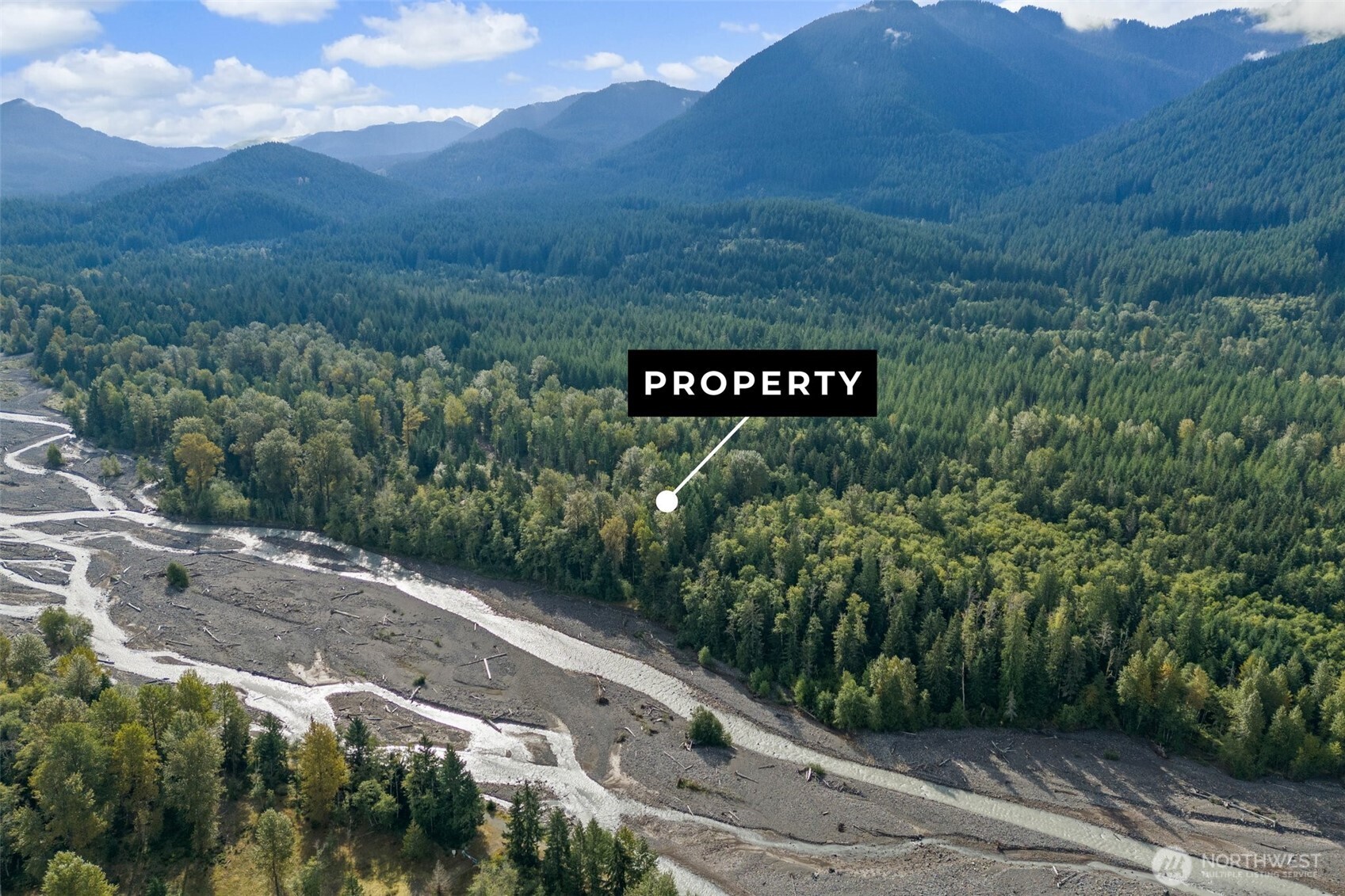 1 Skate Creek Road North Ashford, WA 98304 - Photo 4 of 36