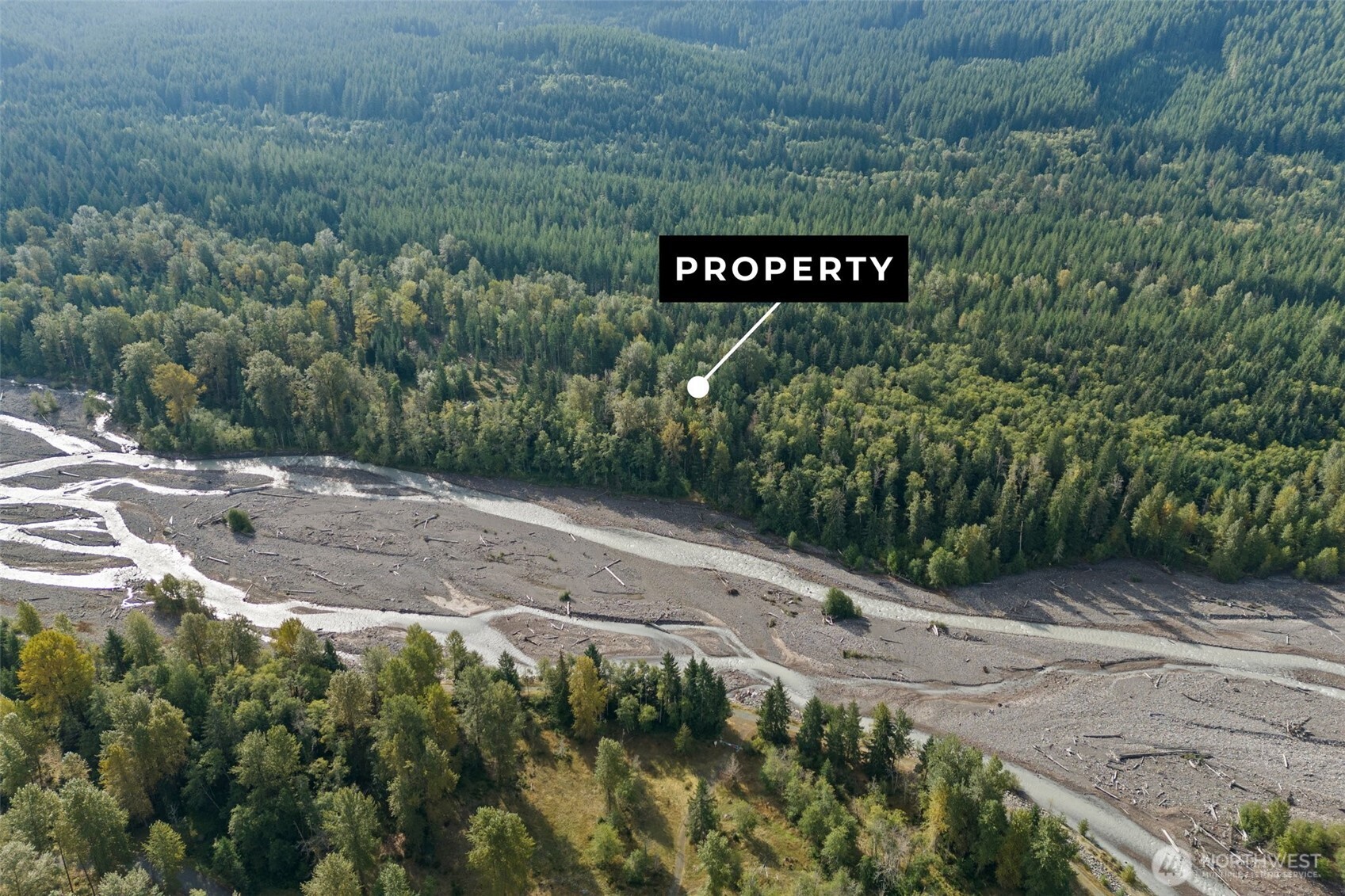 1 Skate Creek Road North Ashford, WA 98304 - Photo 6 of 36 a view of a street with a trees