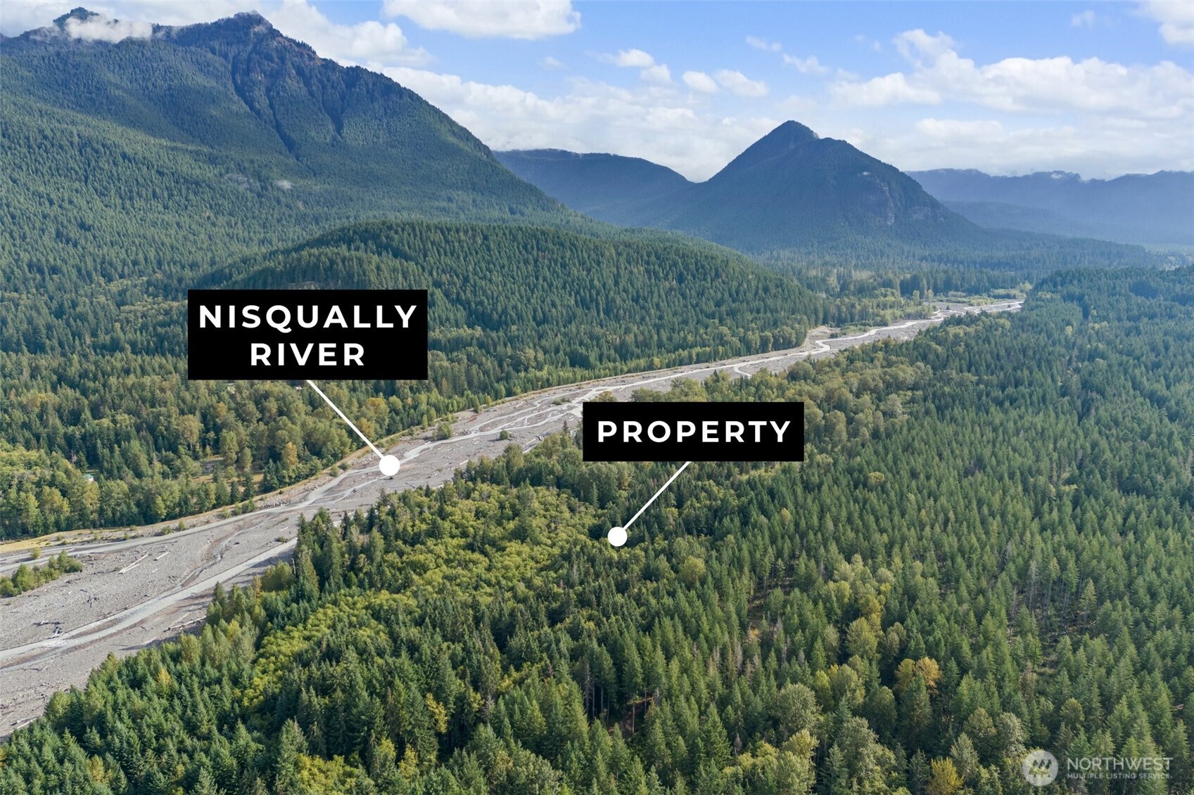 1 Skate Creek Road North Ashford, WA 98304 - Photo 7 of 36 a view of a sign board with mountain view
