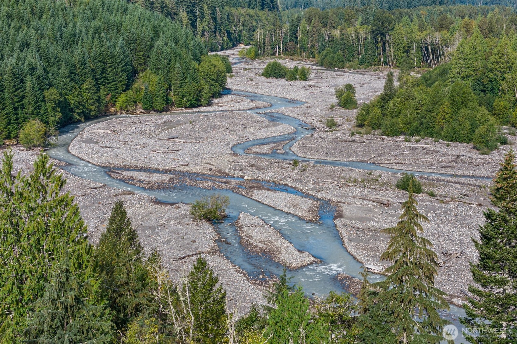 1 Skate Creek Road North Ashford, WA 98304 - Photo 8 of 36 a view of a backyard of a house