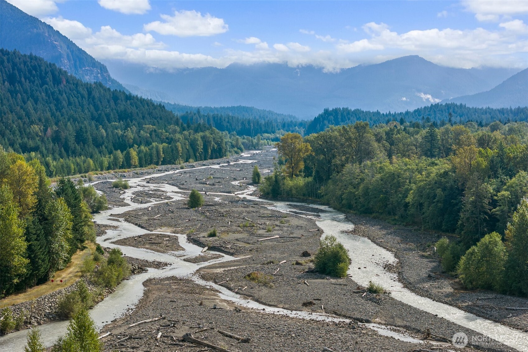 1 Skate Creek Road North Ashford, WA 98304 - Photo 9 of 36 a view of a backyard with green space