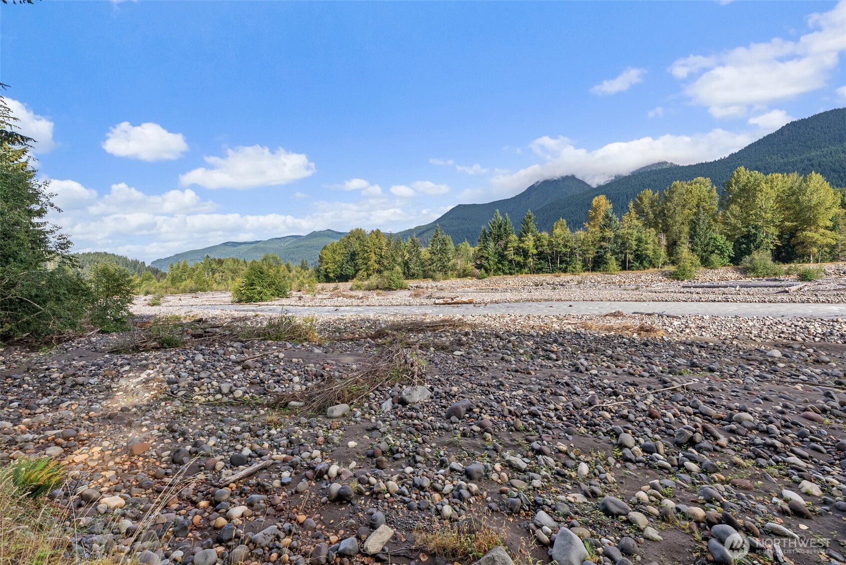1 Skate Creek Road North Ashford, WA 98304 - Photo 10 of 36 a view of a yard with an trees
