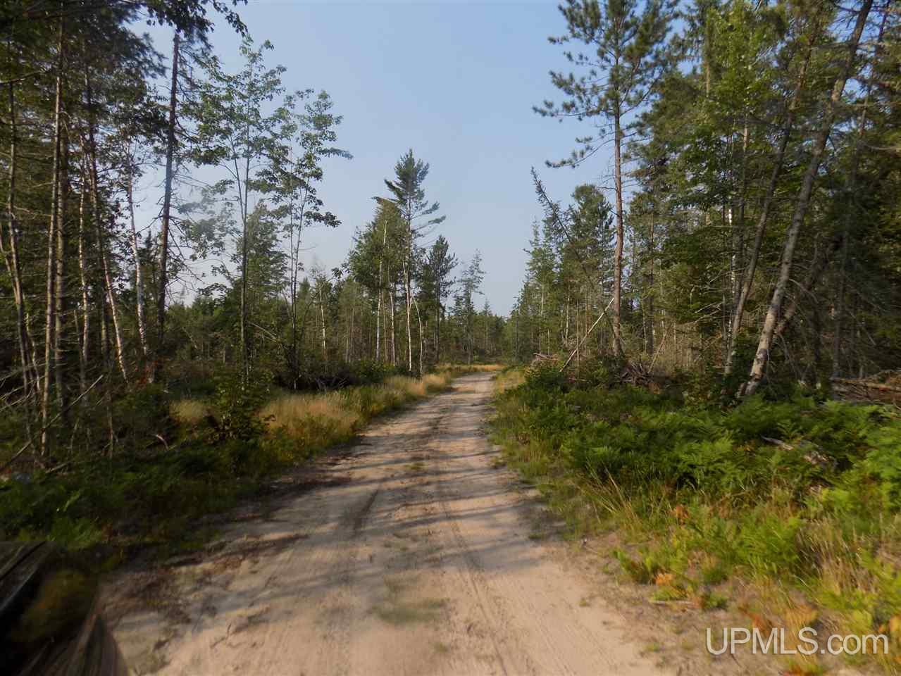 Off Off Co Road Ishpeming, MI 49849 - Photo 1 of 18