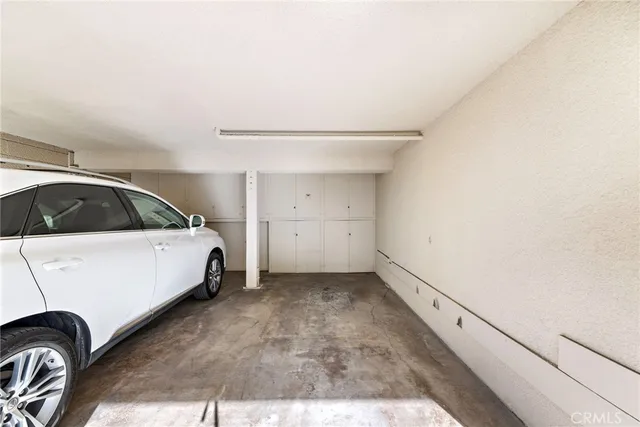 a view of a garden with a tree