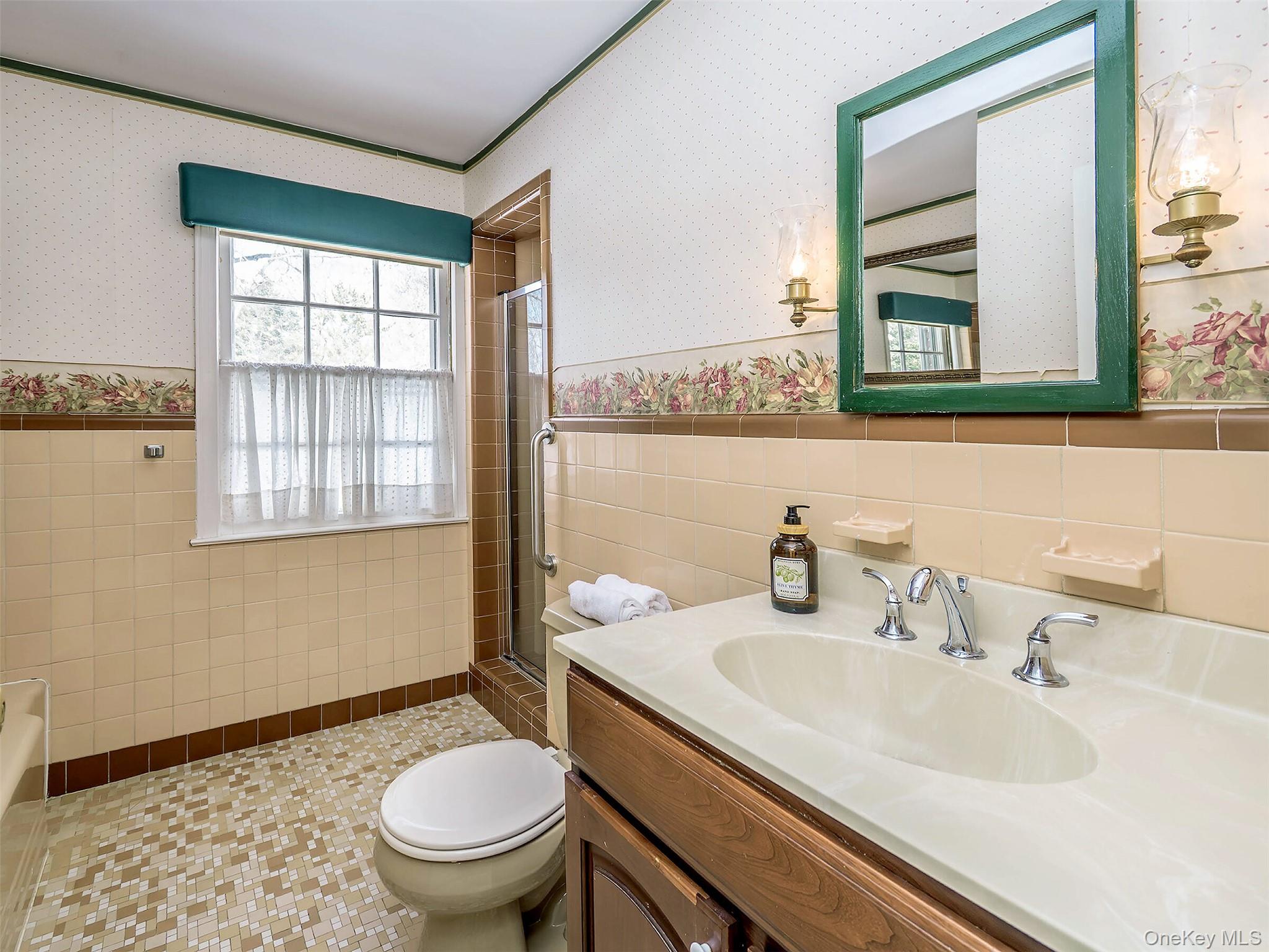 24 Orchard Farm Road Port Washington, NY 11050 - Photo 19 of 20 a bathroom with a sink toilet and a mirror