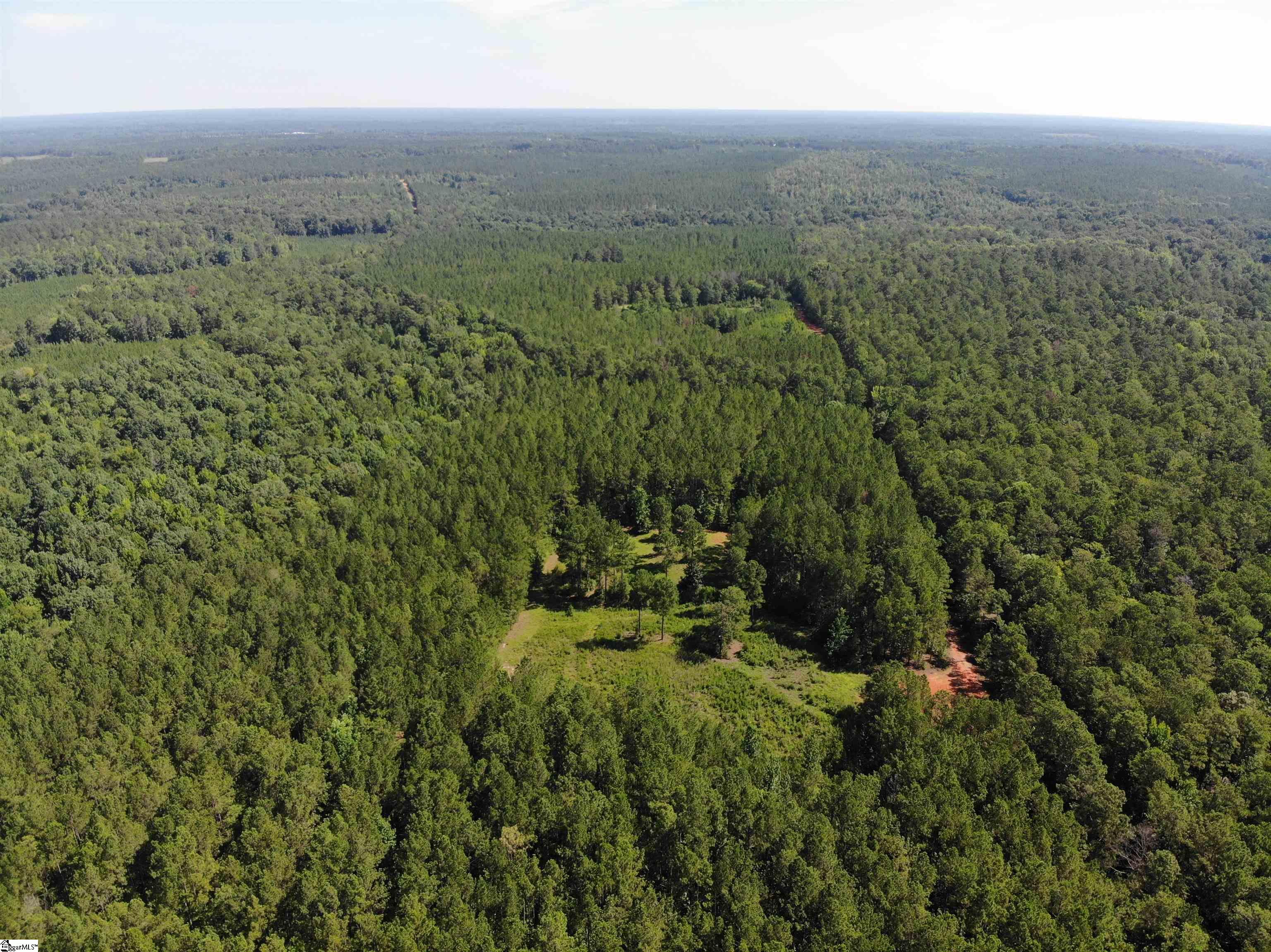 0 Walker Road Edgefield, SC 29824 - Photo 2 of 19 Gallery Image 2