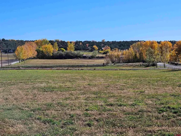 a view of a green field with an outdoor space
