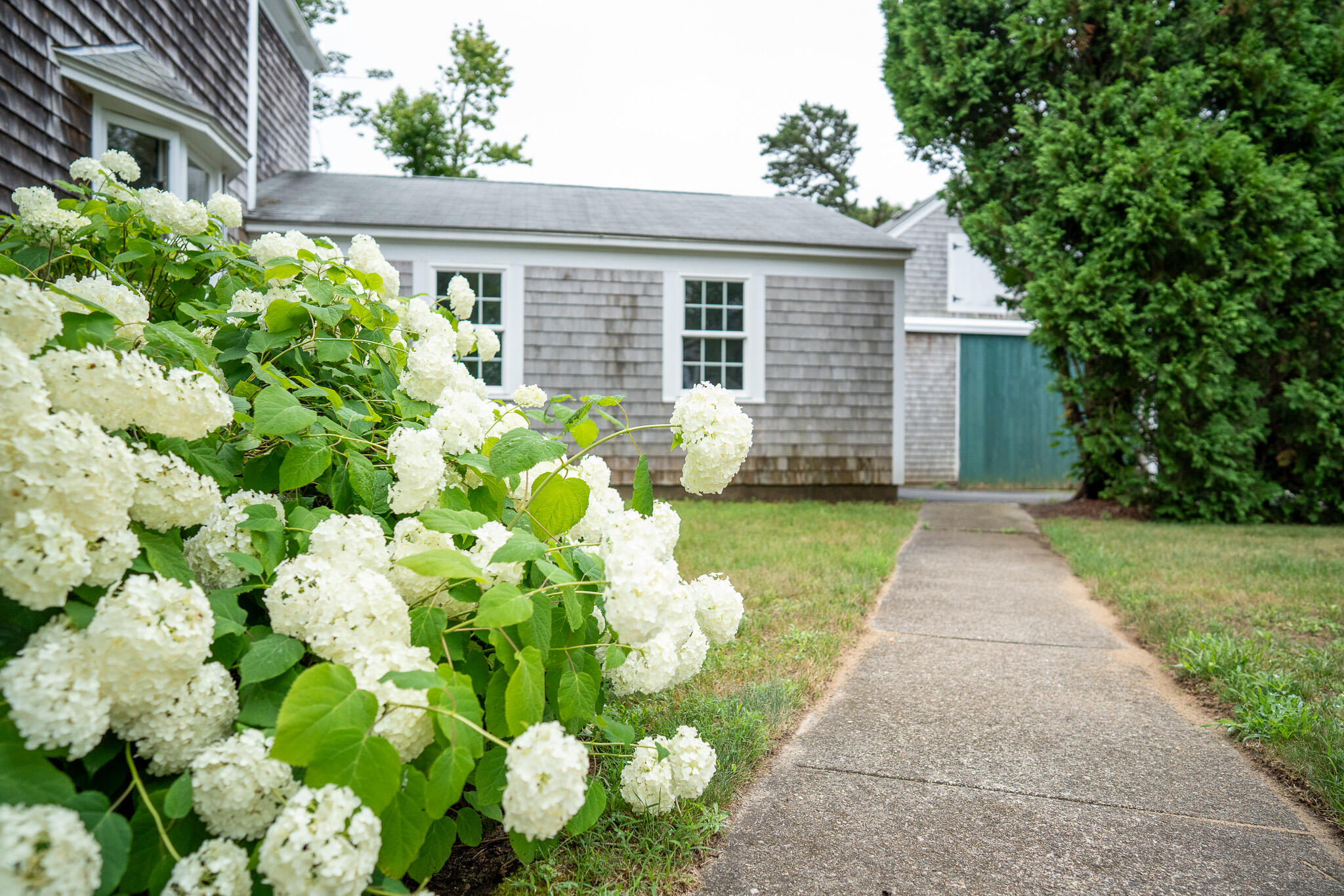 101 Parallel Street Harwich, MA 02645 - Photo 4 of 28 DSC01205