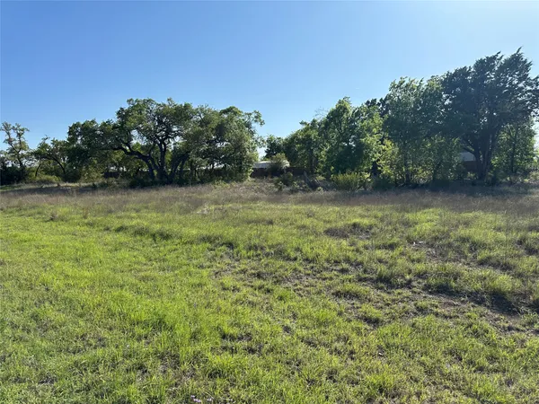 a view of a field with trees in the background