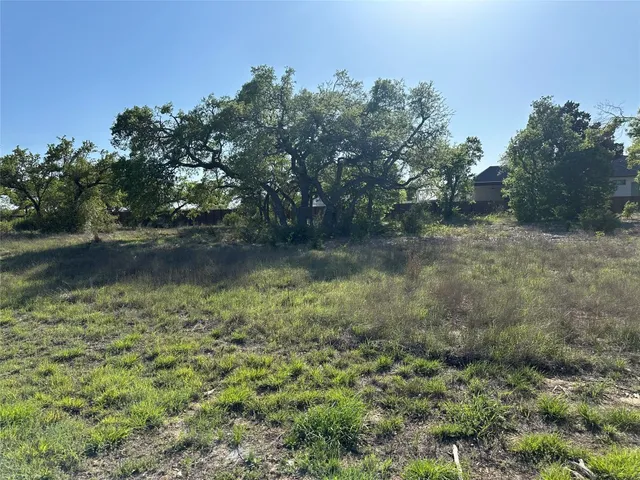 a view of a lake with trees in the background