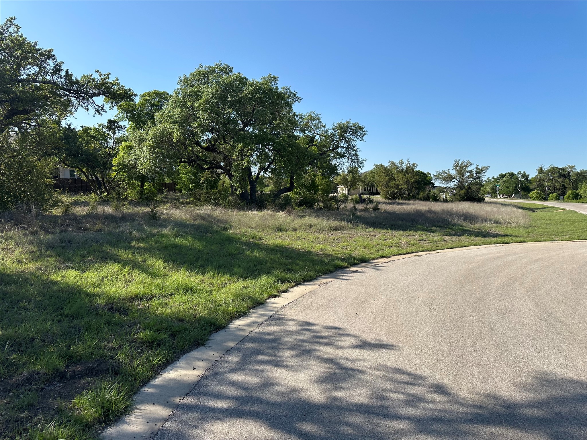 2204 Live Oak Road Leander, TX 78641 - Photo 5 of 5 a view of a park with large trees