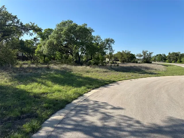 a view of a park with large trees