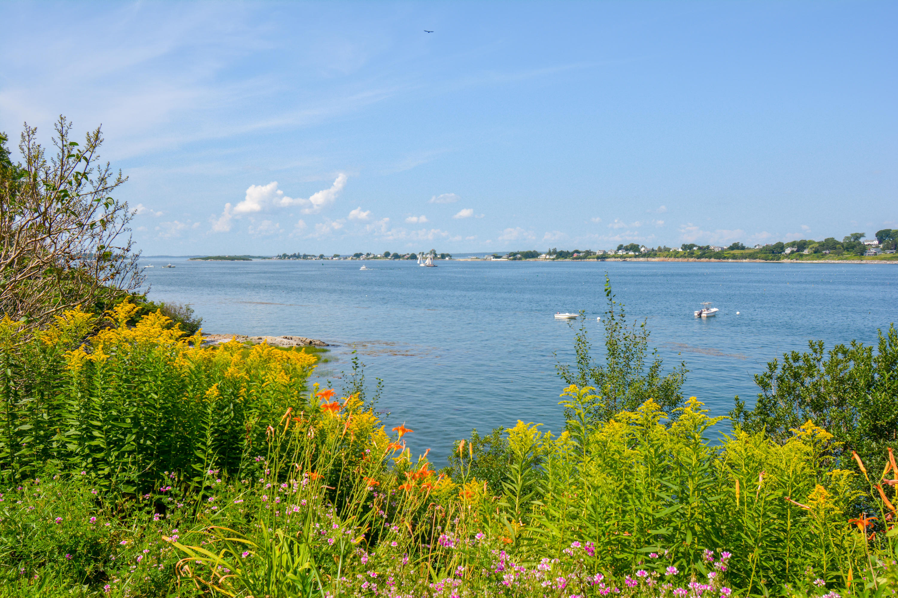 95 West Shore Road Harpswell, ME 04003 - Photo 1 of 34 DSC_0237