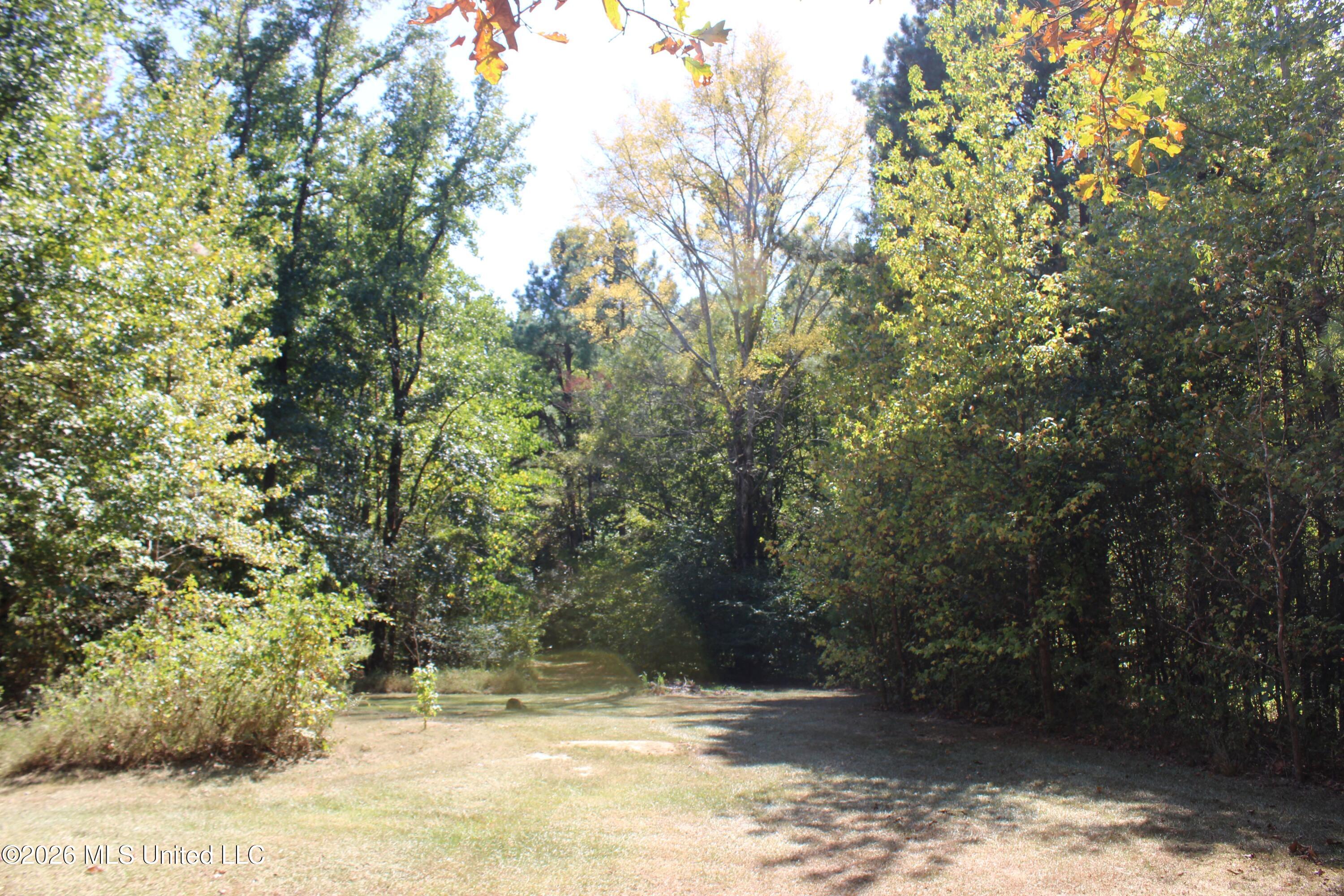 289 St Paul Road Byhalia, MS 38611 - Photo 33 of 33 IMG_8123