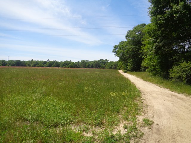 5.46 National Road Dothan, AL 36301 - Photo 3 of 8