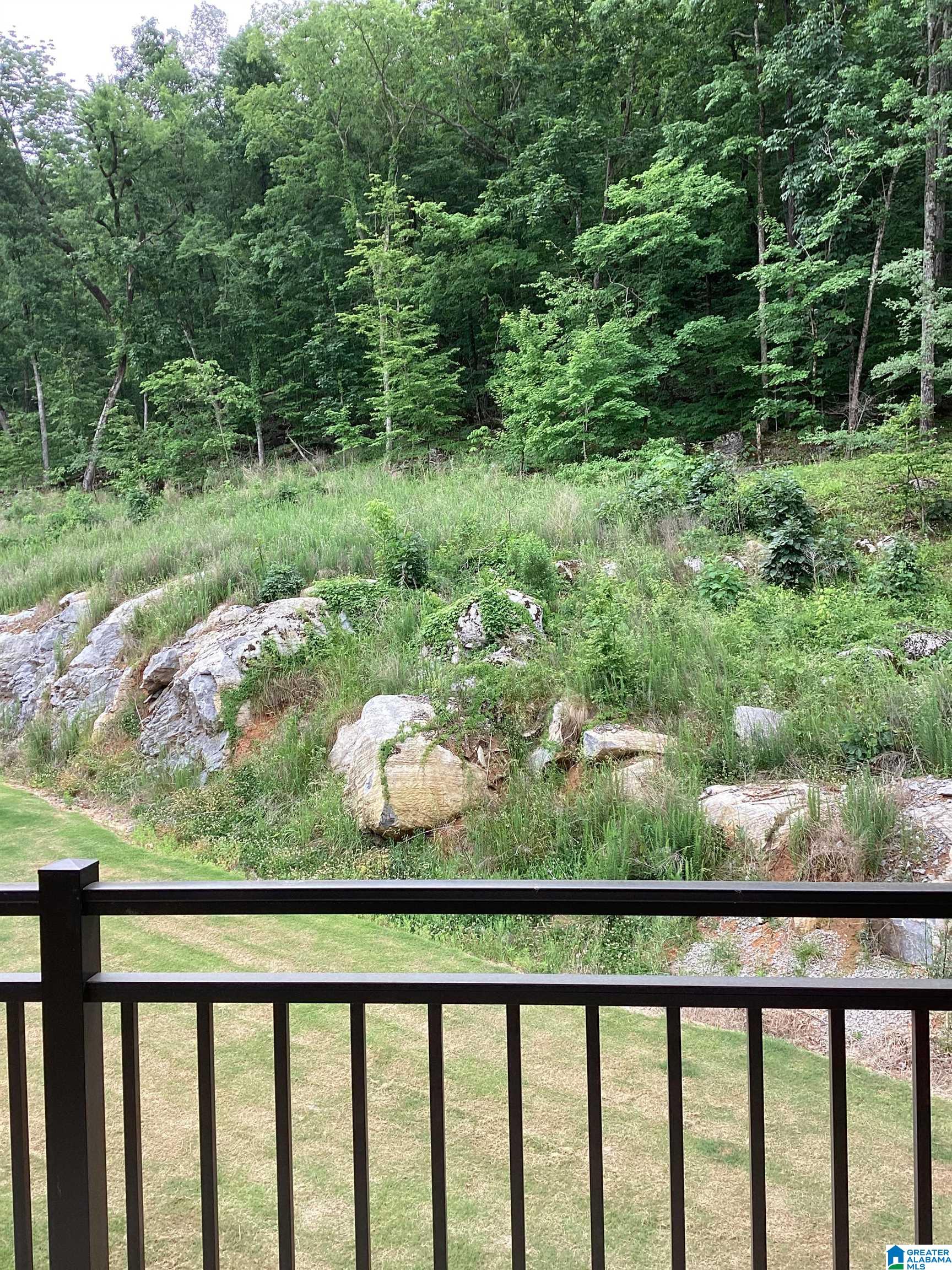 2100 Canopy Trail, Unit 2317 Pelham, AL 35124 - Photo 13 of 24