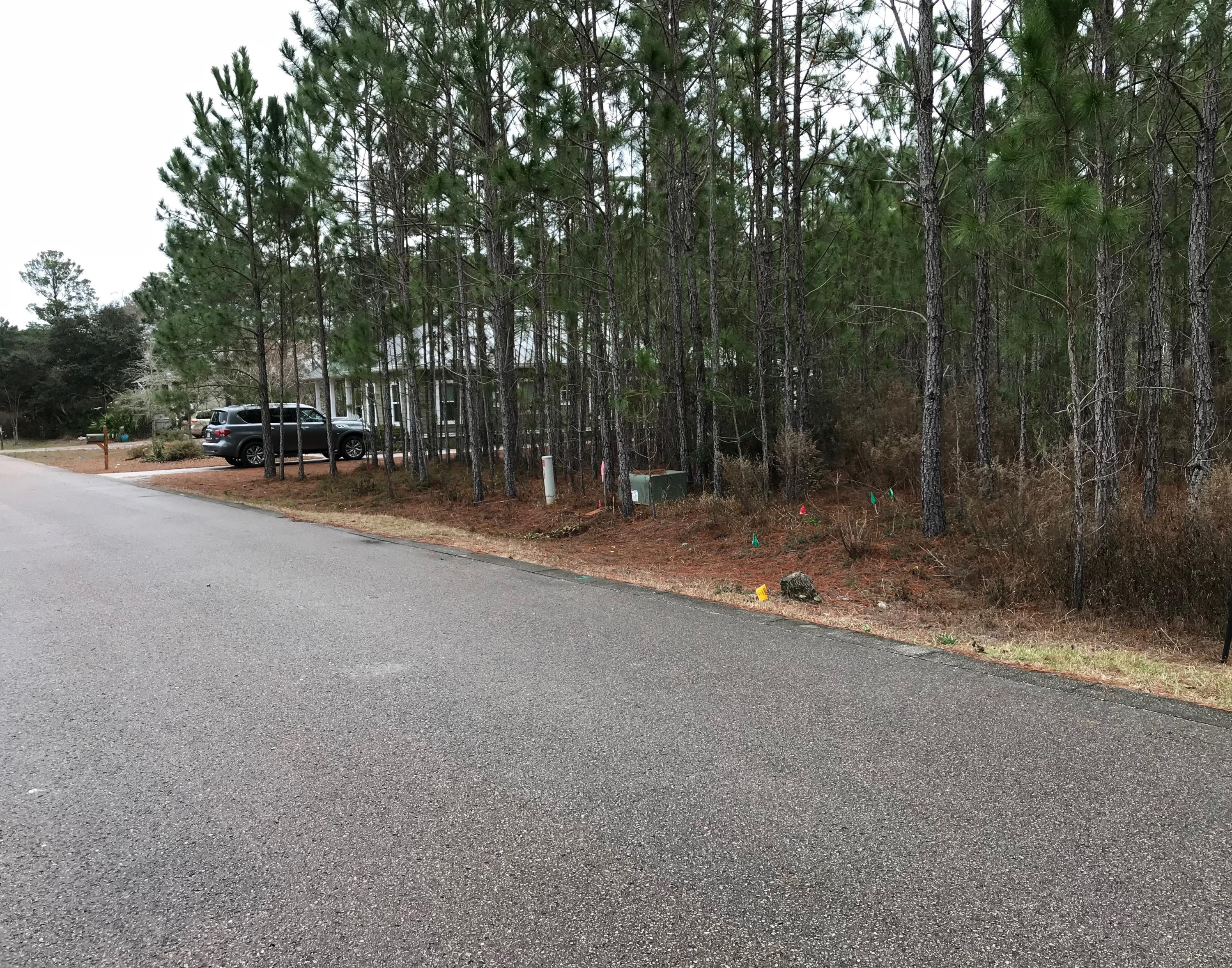 Lot 12 Spotted Dolphin Road Santa Rosa Beach, FL 32459 - Photo 2 of 6 a view of a park with trees
